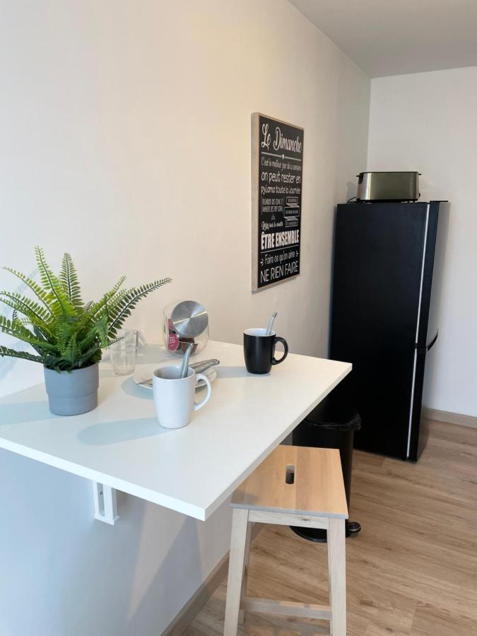 Appartement Du Grand Parc Châteauroux 外观 照片